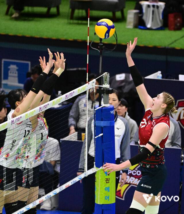 현대건설 카리./KOVO