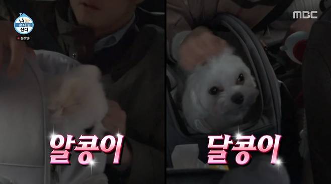 사진=MBC '나 혼자 산다'