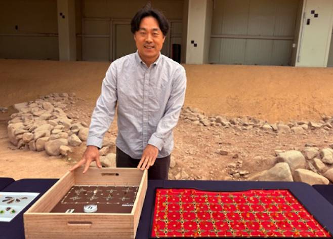 국립경주문화유산연구소 정인태 연구사가 쪽샘구역 44호 고분에서 발굴된 말다래 비단벌레 장식 유물(왼쪽)과 유물 복원품(오른쪽)을 보여주고 있다. 과학동아 제공