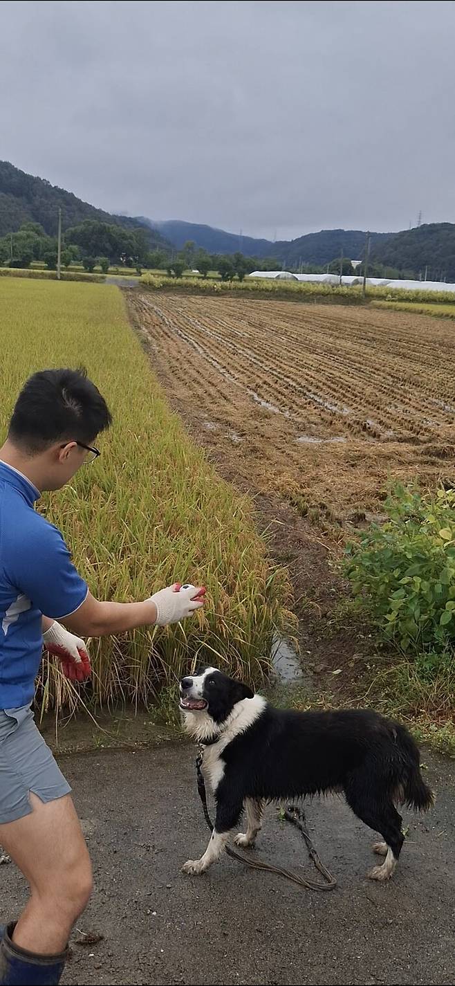 ‘렉스’는 공놀이에 진심이어서, 우리 팔이 아플 때까지 던져주는 공을 향해 왕복달리기를 한다.