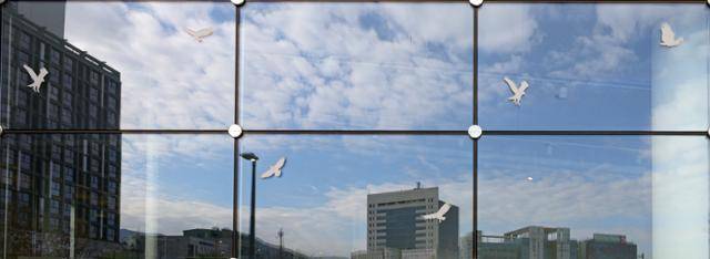 지난 19일 광주 동구 국립아시아문화전당 외벽 유리 모습. 조류 충돌 예방 효과가 없는 맹금류 스티커가 듬성듬성 붙어 있다. 반사율 극대회된 로이 유리(에너지 절약형 유리)는 거대한 거울이 되어 반대편 풍경을 비춤으로써 새들을 위험에 빠트린다. 광주=하상윤 기자