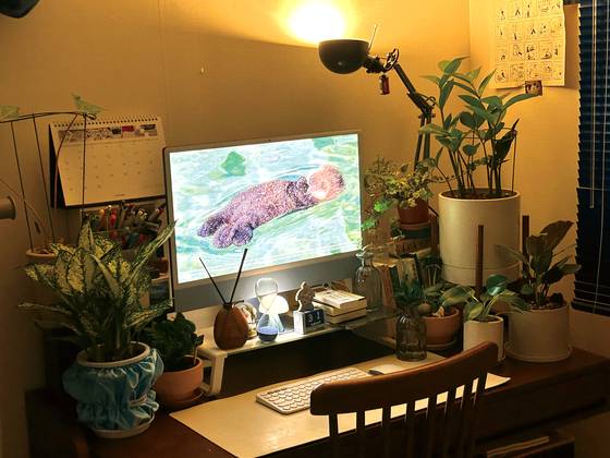 1인 가구의 반려동·식물 키우기는 보편적인 풍경이 됐다. [중앙포토]