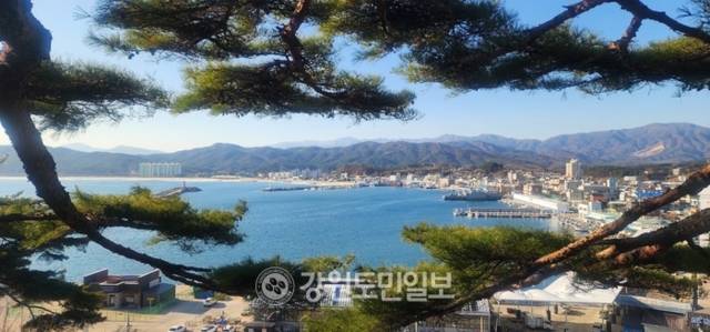 ▲ 거진 등대로 오르는 공원에서 바라본 거진항 전경. 과거 명태를 한가득 실어 나르던 배들은 확연히 줄었지만, 항구는 그 옛날의 정취를 그대로 간직하고 있다.