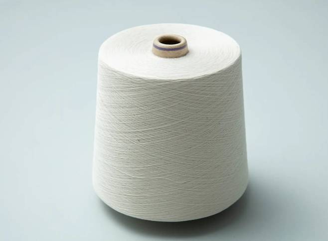 /사진=스파이버