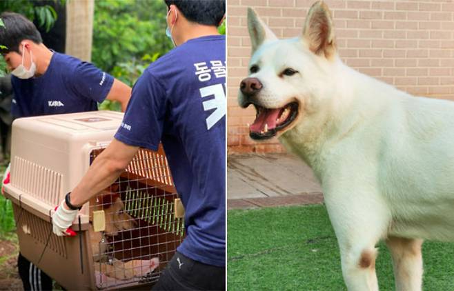 다시 미소를 되찾은 돌산. 카라 제공
