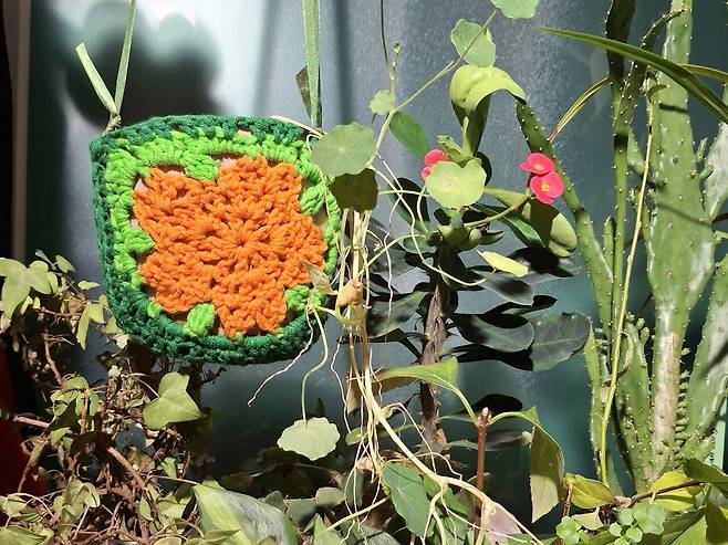 직접 만든 손뜨개 화분 커버를 한련화 옆에 걸어주었더니 주변이 화사해졌다. ⓒ백수혜 제공