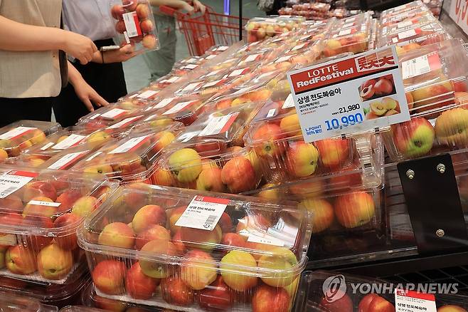 우박 피해 농가 생산 '상생복숭아' 판매 (서울=연합뉴스) 최재구 기자 = 19일 서울 롯데마트 서울역점에서 시민들이 천도복숭아를 고르고 있다. 롯데마트·슈퍼는 이날부터 경북 경산·영천지역의 우박 피해 농가에서 매입한 상생 천도복숭아(2㎏/팩)를 약 30% 저렴하게 판매한다고 밝혔다. 2025.6.19 jjaeck9@yna.co.kr