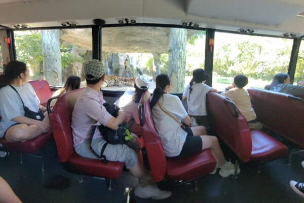 대전오월드 '사파리'에서 동물을 구경하는 방문객들.&nbsp;