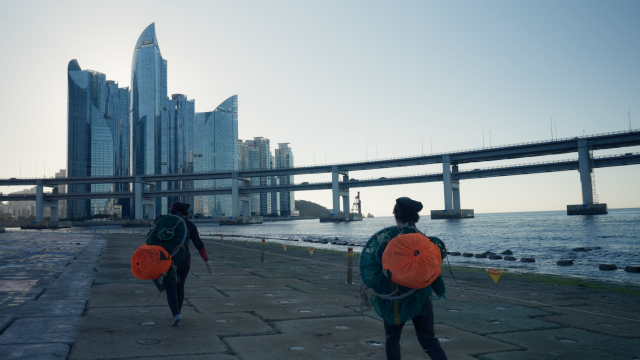 KBS부산 휴먼 다큐멘터리 '바다와 함께 살아왔다: 아지매' 스틸컷. KBS부산 제공