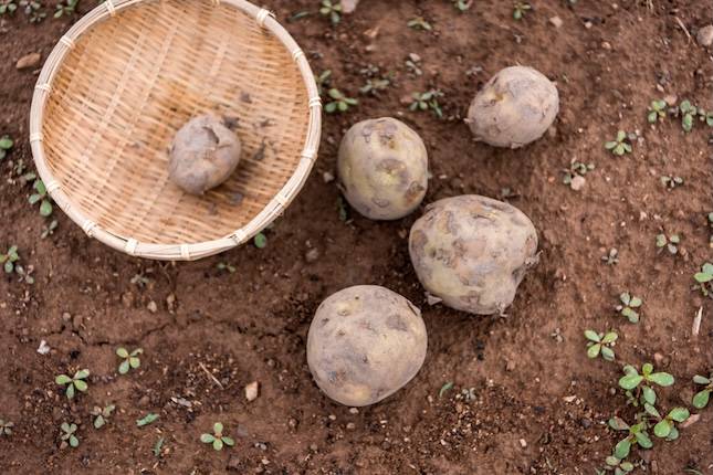 사진=아이클릭아트