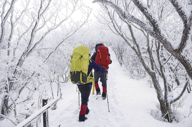눈이 녹았다 다시 얼어붙은 길에서는 한 번의 미끄러짐이 큰 부상으로 이어질 수 있다. 사진=클립아트코리아