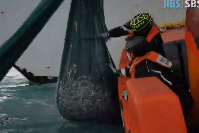 규정보다 작은 그물로 싹쓸이 조업하는 중국어선