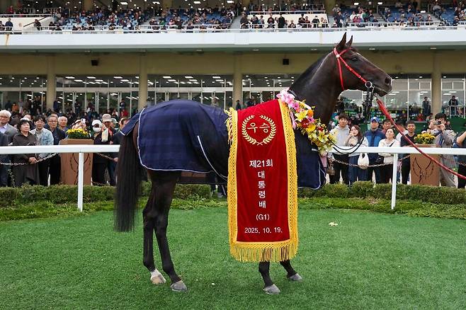 연도대표마로 선정된 '스피드영'이 제21회 대통령배 우승을 찾지한 후 우승기를 받고 있는 모습