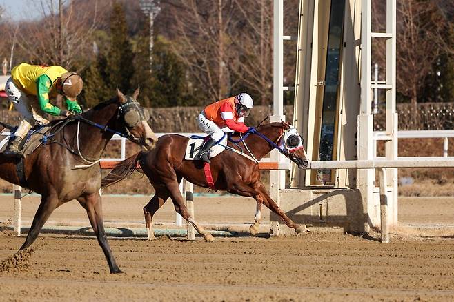 박태종(1번 마) 기수 결승선 통과 모습
