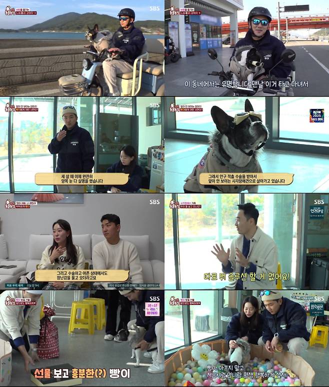 ‘TV동물농장’ 빵이 최고 5.7% (사진=SBS)