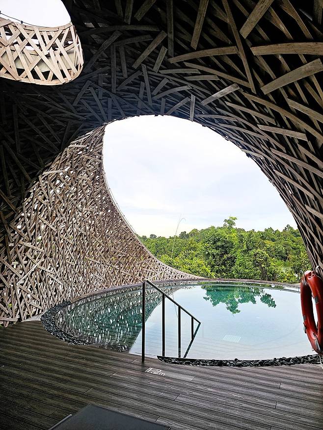 트리하우스 전용 수영장(사진=정상미)