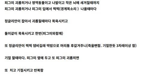 A씨가 네이버 카페에 작성한 글. [네이버 카페 캡처. 재판매 및 DB 금지]