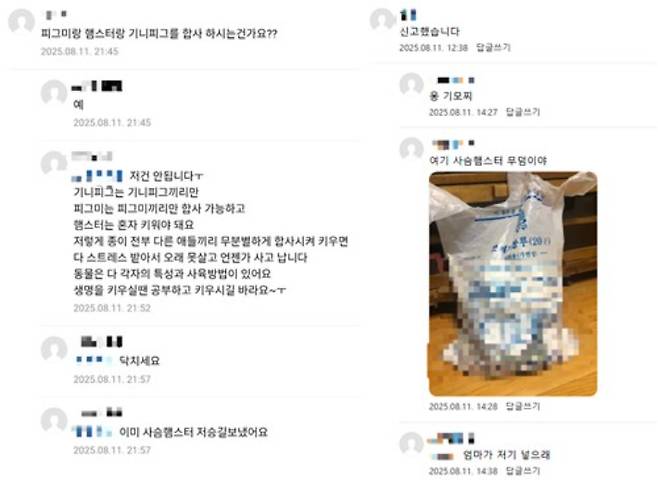 A씨가 네이버 카페에 작성한 글. 연합뉴스