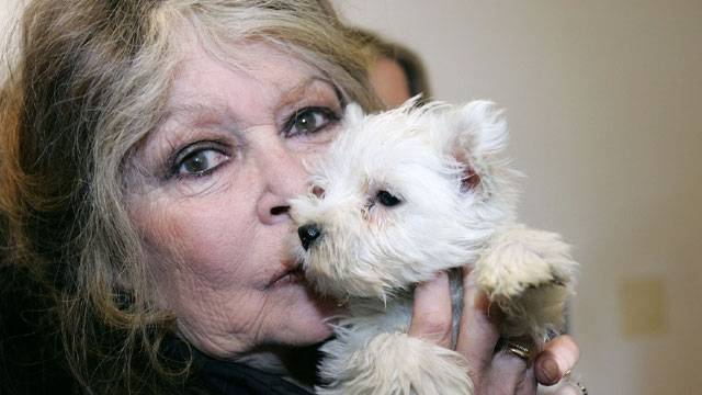 프랑스 여배우 브리지트 바르도. 사진 ㅣ연합뉴스