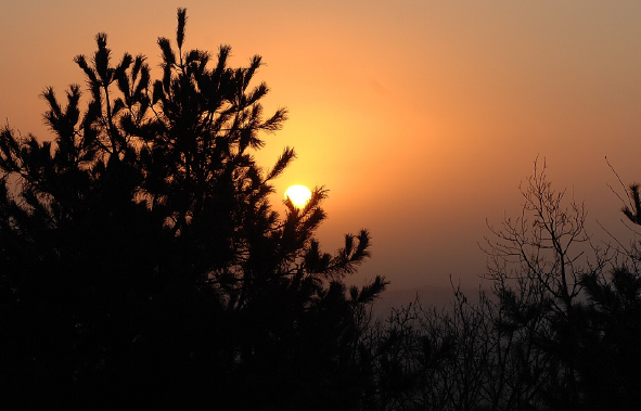 파주 심학산. 사진=경기관광공사