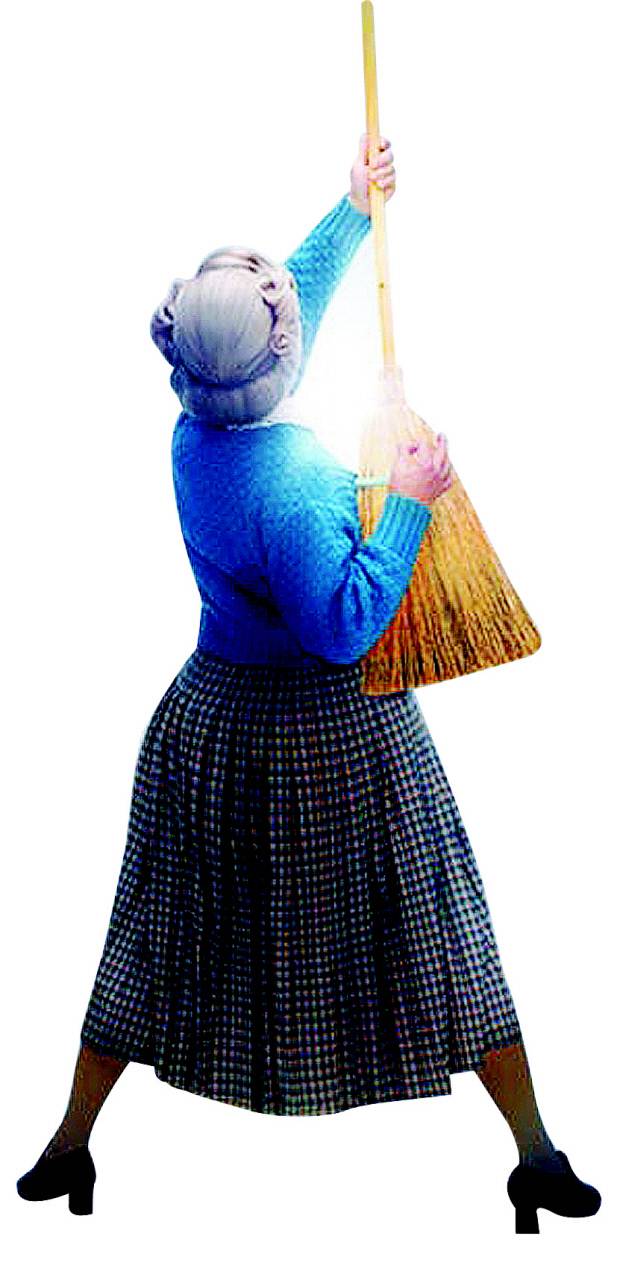 ‘미세스 다웃파이어’