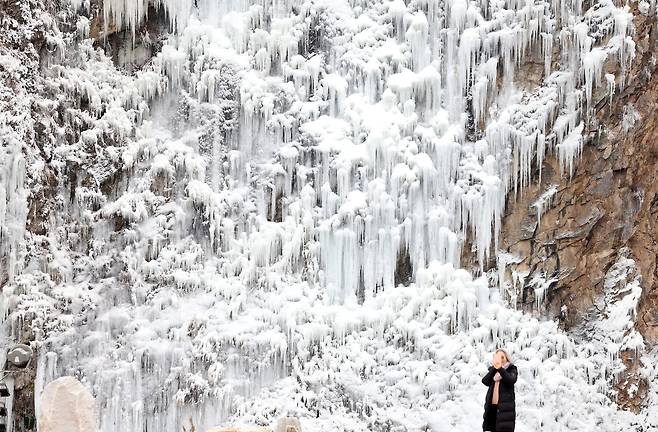 A mountainous path in Wonju, Gangwon, is seen frozen solid on Dec. 28. [YONHAP]