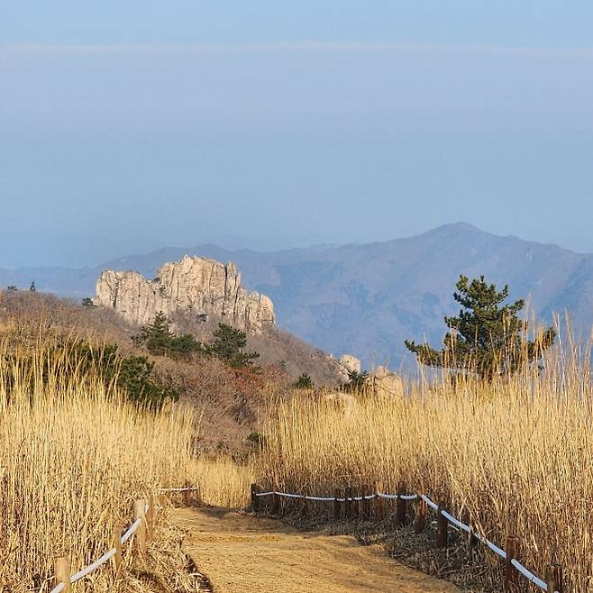천관산 억새길