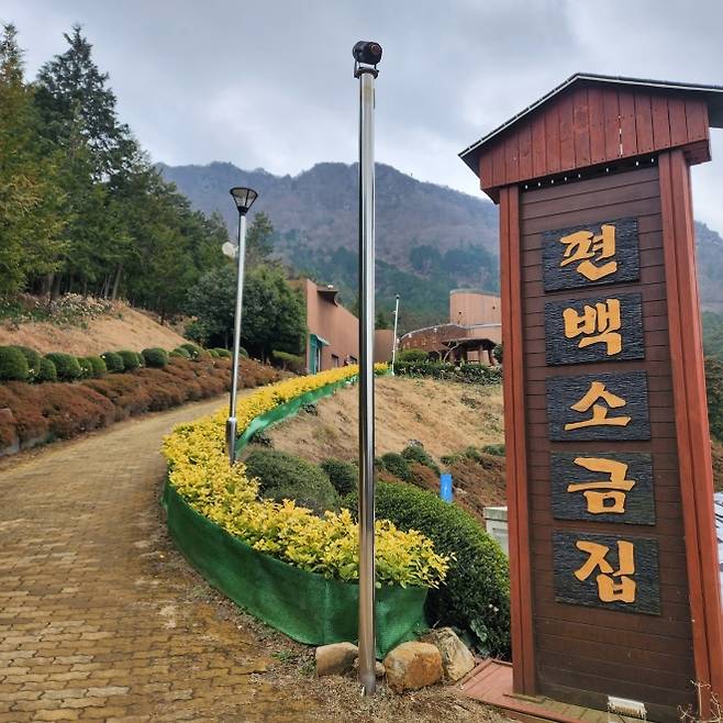 우드랜드 편백소금집