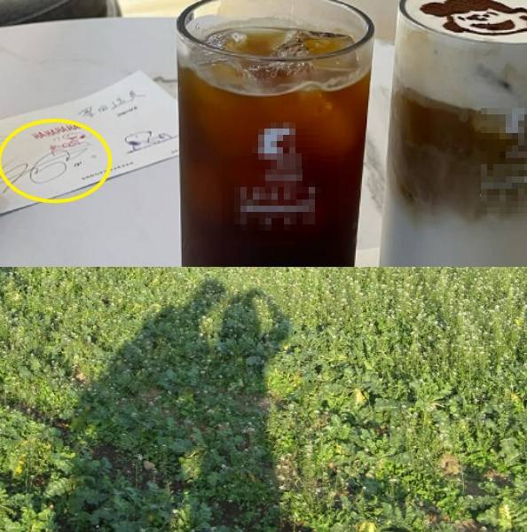 /사진=하루카 토요다 SNS