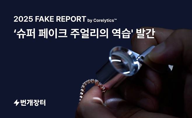 (번개장터 제공. 재판매 및 DB금지)2025.12.31/뉴스1 /사진=뉴스1
