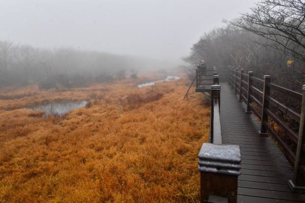 1100고지 습지 전경.