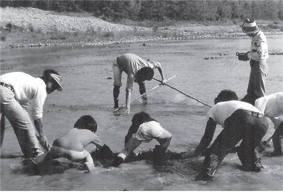 서진길작 베밀래기(1979년)