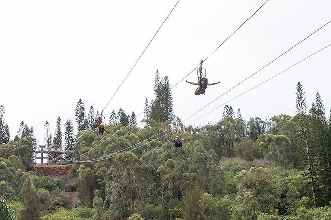 하와이에서 즐기는 집라인 /사진= 하와이 관광청 한국 사무소