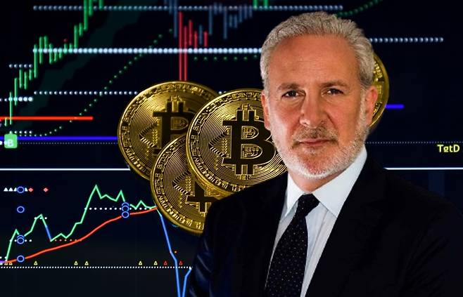 경제학자 피터 쉬프 [헤럴드DB]