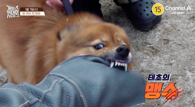 사진=채널A