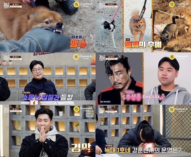 사진=채널A