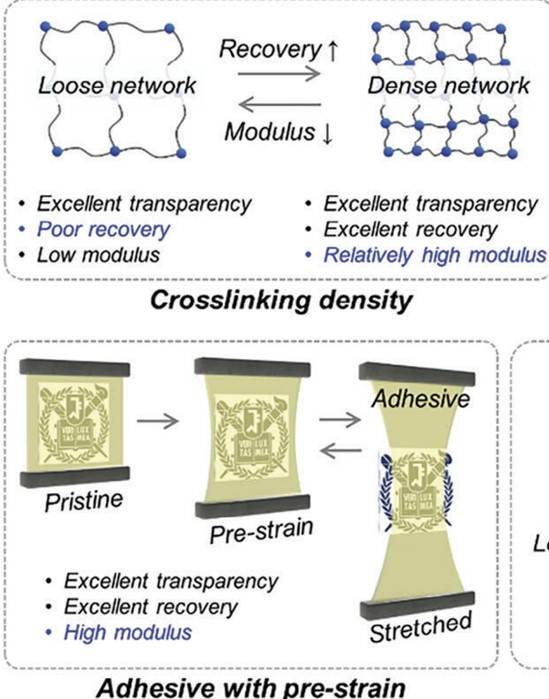 삼성 폴더블폰에 적용된 차세대 접착제의 과학기술 원리를 설명한 김현중 명예교수의 논문 그래픽.