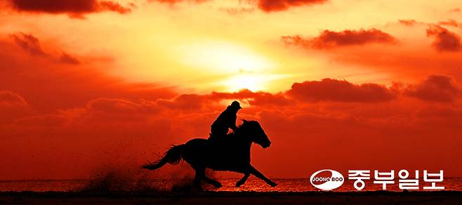 다사다난했던 을사년(乙巳年)이 저물고 2026년 병오년(丙午年) '붉은 말의 해'가 밝았다. 붉은 해를 배경으로 적토마처럼 힘차게 달리는 기마의 기운으로 새해는 고단함의 흔적들을 박차고 달려 발걸음마다 새로운 변화의 바람을 타고 뜨거운 신년을 맞이해 보자. 사진은 안면도 운여해변에서 기수(바다비펜션 아티카승마클럽)가 붉은 태양아래 해안을 거침없이 질주하는 모습. 노민규기자