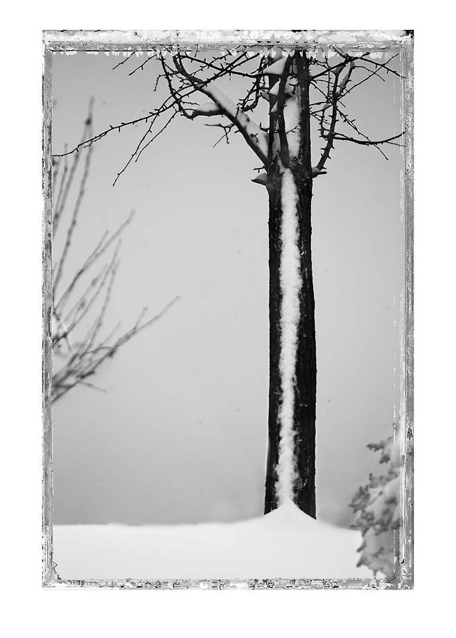 김중만, THE ONE AND ONLY DAY THE SNOW STAYED 2010 (토포하우스 제공)