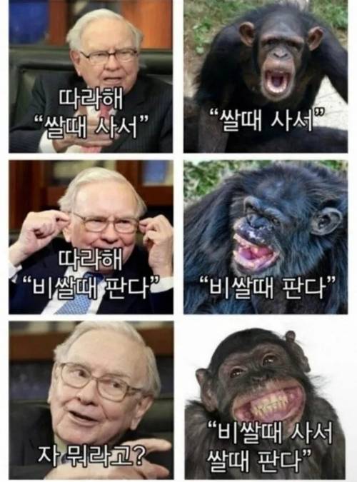 투자자커뮤니티 갈무리