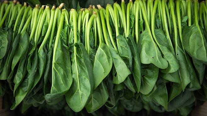 시금치는 건강 효능이 많은 녹색 채소다｜출처: 클립아트코리아