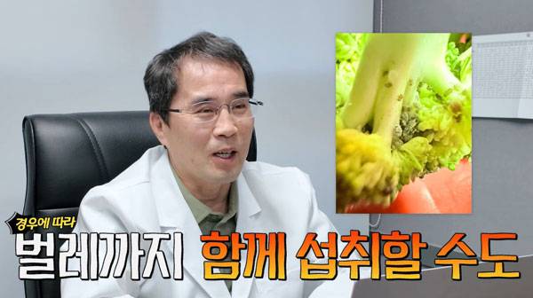 흐르는 물에 브로콜리를 1차적으로 세척한 뒤 베이킹소다나 밀가루를 활용하면 이물질을 효과적으로 제거하는 데 도움이 된다. /사진=유튜브 채널 '닥터브로코' 캡처