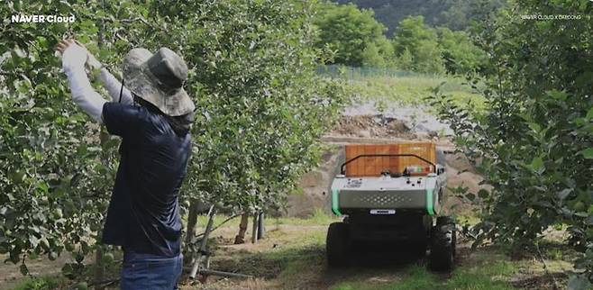 네이버클라우드와 대동의 농업 AI 에이전트 협력 사례 (사진=네이버클라우드 제공) *재판매 및 DB 금지