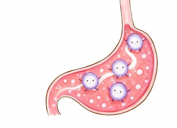 위를 통과하는 유산균