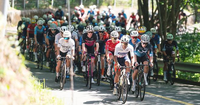 국제사이클연맹(UCI)이 공인한 국내 유일의 도로 사이클 대회 ‘투르 드 경남 2026’이 올해 지방자치단체 개최 국제경기대회 지원사업에 선정돼 국비 2억4000만 원을 확보했다. 사진은 지난해 투르 드 경남 2025에 참가한 선수들이 거제에서 역주를 펼치는 모습. 경남도 제공
