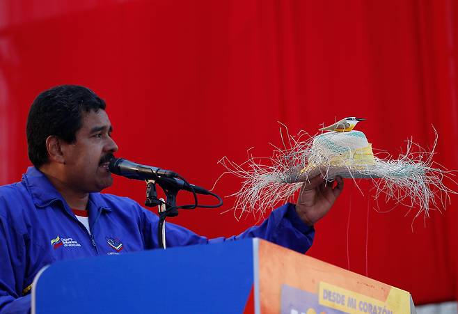 Venezuela's then acting President Nicolas Maduro holds a farm worker's hat with the figure of a bird perched on the hat's crown during a presidential election campaign rally in Catia La Mar, Venezuela, on April 9, 2013. Maduro assured during a campaign rally that the late President Hugo Chavez appeared to him as a ″very small bird″ to give him his blessing. [AP/YONHAP]