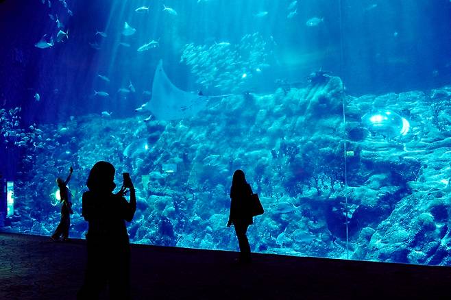 신비로운 바다 속을 그대로 재현한 대형 아크릴 패널  / 사진 = 조형주 여행플러스 PD