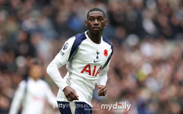 무아니/게티이미지코리아