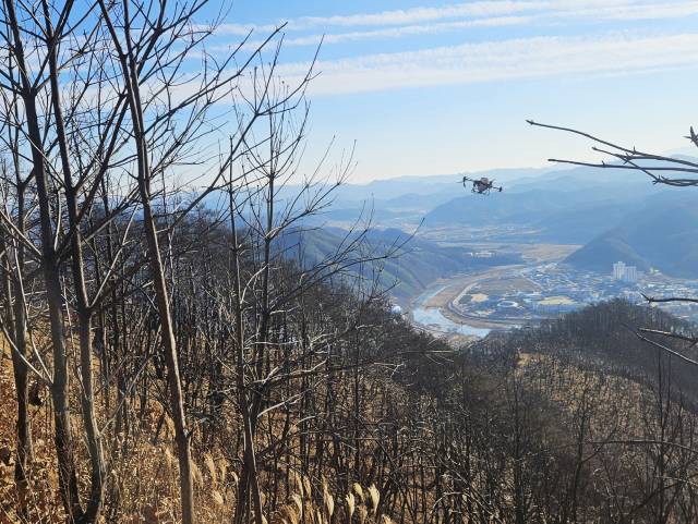 청송군이 지난해 3월 발생한 대형 산불 피해지역에 드론을 이용해 더덕·도라지 종자를 파종하는 모습. 청송군 제공