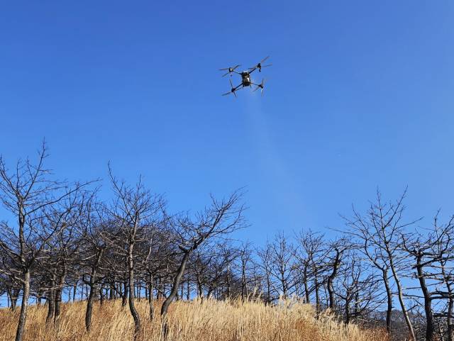 청송군이 지난해 3월 발생한 대형 산불 피해지역에 드론을 이용해 더덕·도라지 종자를 파종하는 모습. 청송군 제공